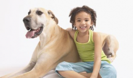 女人与狗交配视频,女人与狗交配视频引发的伦理争议